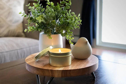 Hemstädning och livskvalitet med Clean Hansa i Södertälje