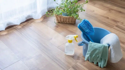 Clean Hansa: Prisvärd hemstädning vid Mariatorget